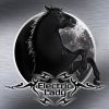 Download track Through Ice And Snow