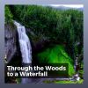 Download track Soundscapes Of Nature Melodies, Pt. 20