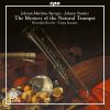Download track Trumpet Concerto No. 2 In D Major II. Allegro Moderato
