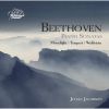 Download track 10 - Bagatelle In C Minor, Op. 119 No. 5
