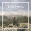Download track Tokamak