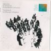 Download track Ghazaros Saryan- Concerto For Violin And Orchestra- I. Moderate Allegro Energico