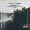 Download track Symphony No. 1 In D Major, Op. 16: III. Scherzo. Presto