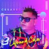 Download track Mi Cama