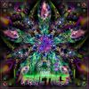 Download track The Pattern