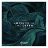 Download track No Control (Sascha Dive Remix)