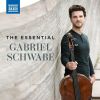 Download track Cello Concerto No. 2 In D Minor, Op. 119: II. Allegro Non Troppo - Cadenza - Molto Allegro