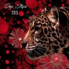 Download track I Feel You (Original Mix)
