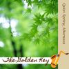 Download track Quiet Radiance Of Day