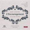 Download track 10. Grand Duo N. 9 - IV. Menuetto Allegro