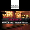 Download track Killing Me Softly (Funky Version)