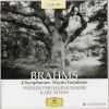 Download track Symphony No. 3 In F Major, Op. 90 - IV. Allegro