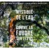 Download track Comme La Foudre Sur Les Os: III. Le Message