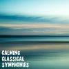 Download track Schoenberg Notturno For Strings And Harp