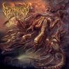 Download track Birth