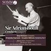Download track Capriccio For Piano And Orchestra: II. Andante Rapsodico