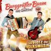 Download track Boarisch Tonzen Werd Modern