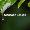 Download track Rain Playlist