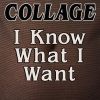 Download track I Know What I Want (Emeis Radio Edit)
