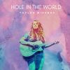 Download track Hole In The World