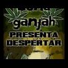 Download track Ninguna Como Ella