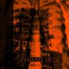 Download track Splinters