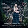 Download track Violin Concerto In B Minor, Op. 61: III. Allegro Molto