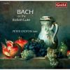 Download track 2. Suite In C Minor BWV 997 - I. Prelude