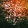 Download track Where The Lost Children Go