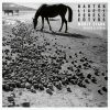 Download track 11. Veress Sonata For Violin Solo I. Allegro