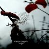Download track I Fear All The Moments You Will Need Me And I Won'T Be There