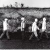 Download track Wave Of Sorrow (Birdland) 