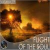 Download track Simplicity (Original Mix)