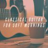 Download track Pavane For A Dead Princess For Guitar