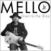 Download track Down To The Wire