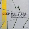 Download track Low Evolvement (Disco Gnomes Twisted Disco Radio Edit)