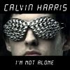 Download track I'M Not Alone (Extended Mix)