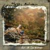 Download track Porcupine Rain