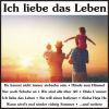 Download track Ich Bin Der Martin, Ne?