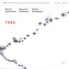 Download track Free Combinations For Three Instruments
