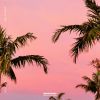 Download track Mala Fama