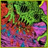 Download track I'm Not In Your Mind (Live At Red Rocks '22)