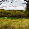 Download track Maple Street