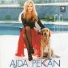 Download track Bitsin Bu Sevda