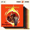 Download track A Swingin' Safari