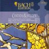 Download track Erhöhtes Fleisch Und Blut BWV 173 - III Aria (Alto)