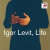 Download track 10. Elegies BV 249 - VII. Berceuse