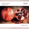 Download track Sonata In B-Flat Major, ZWV 181 No. 3 III. Largo
