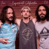 Download track Muros Da Babilônia