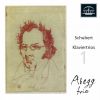 Download track Piano Trio In B-Flat Major, Op. 99, D. 898: I. Allegro Moderato